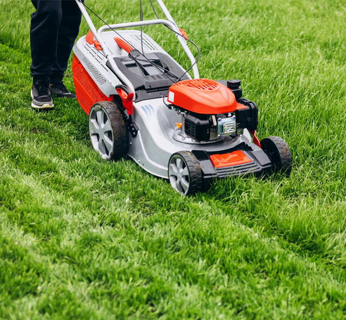 Lawn mower cutting a clean stripe through a thick green lawn